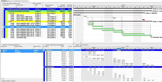 CPM Scheduling Services